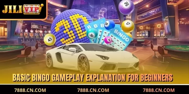 Basic bingo gameplay explanation for beginners