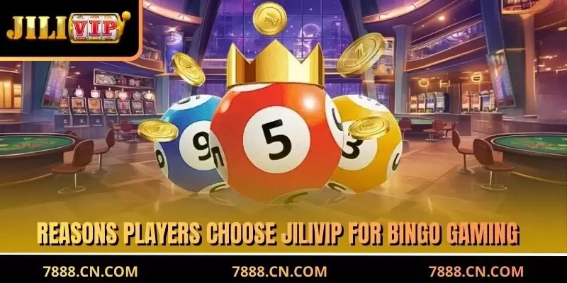 Reasons players choose JILIVIP for bingo gaming