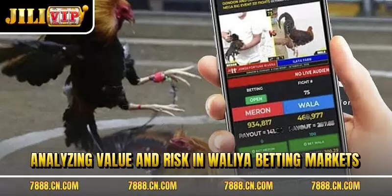 Analyzing value and risk in Waliya betting markets