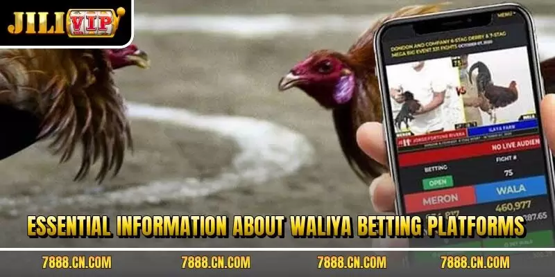 Essential information about waliya betting platforms