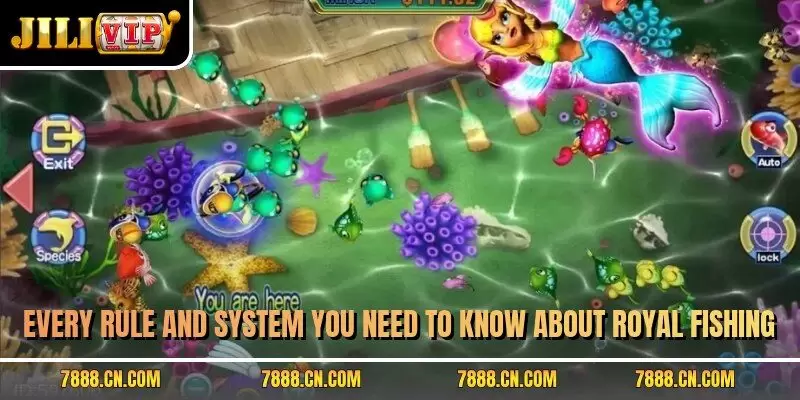Every rule and system you need to know about Royal Fishing