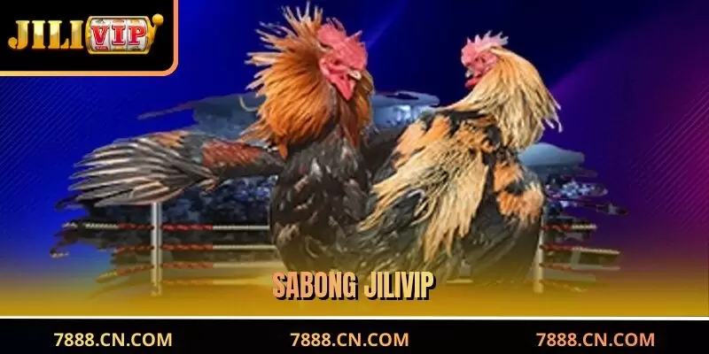 Sabong JILIVIP