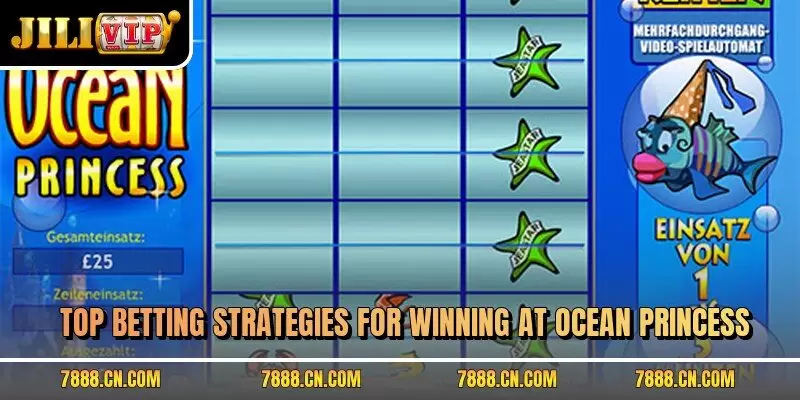 Top betting strategies for winning at Ocean Princess