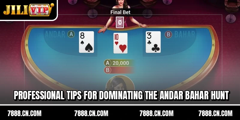Professional tips for dominating the Andar Bahar hunt