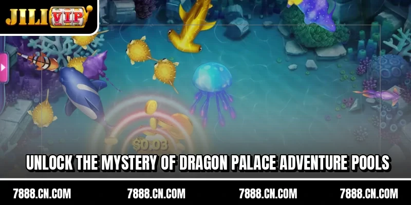 Unlock the mystery of Dragon Palace Adventure pools